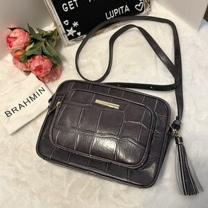 Brahmin shea Nocturnal Lysander